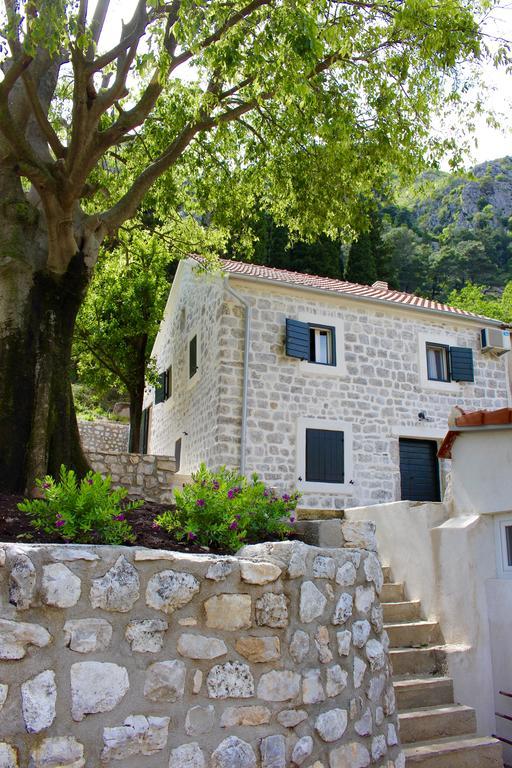 Villa Mima Котор Екстер'єр фото